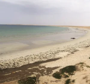 Banc d'Arguin National Park
