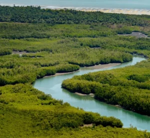 Cacheu River National Park