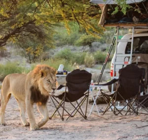 Central Kalahari Game Reserve