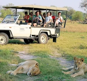 Chobe National Park