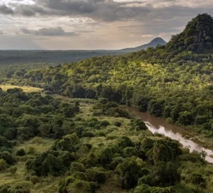 Gorongosa National Park