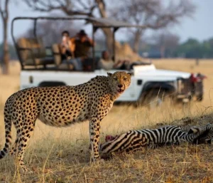 Hwange National Park
