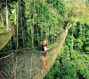 Kakum National Park