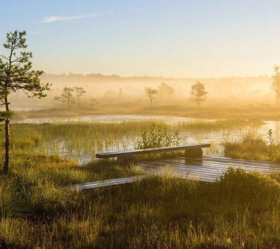 Lahemaa National Park