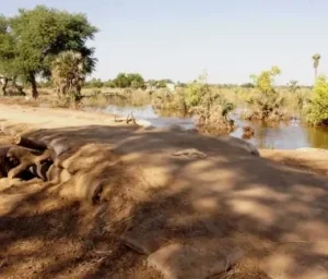 Lake Chad