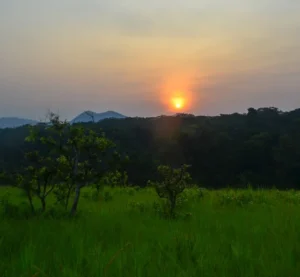 Lopé National Park