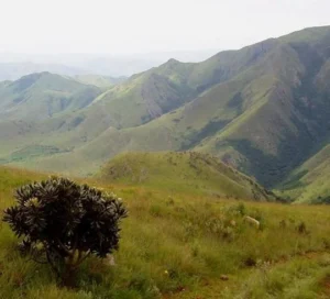 Malolotja Nature Reserve