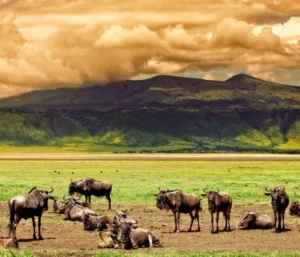 Ngorongoro Crater