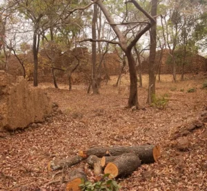 Ruins of Loropéni