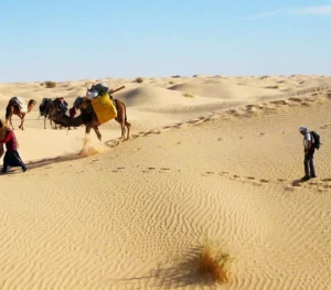 Sahara Desert