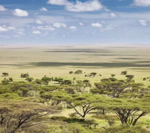 Serengeti National Park