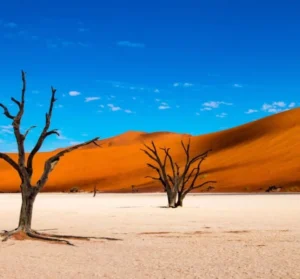 Sossusvlei