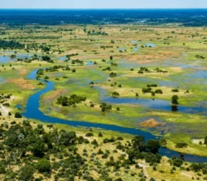 Sudd Wetlands