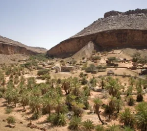 Terjit Oasis