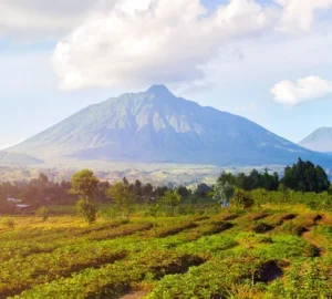 Virunga National Park